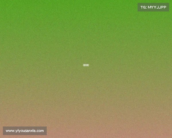 参赛积分 参赛积分