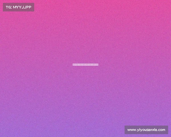 荷乙赛制调整新规详解赛季更新变化一览